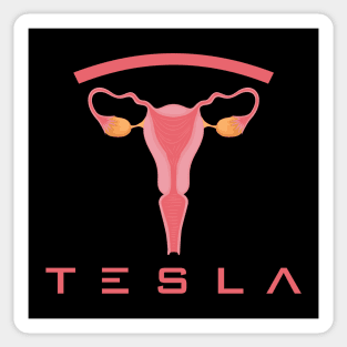 Tesla Motors Sticker